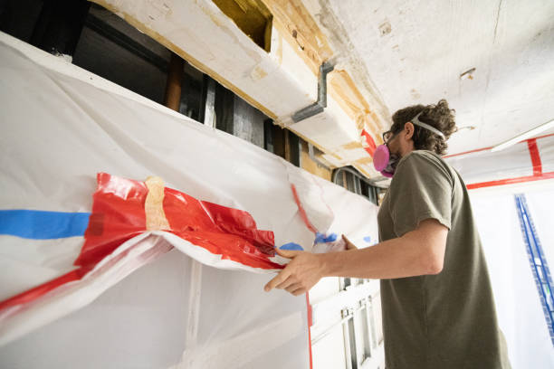 Best Mold Damage Restoration  in Auburn, MI
