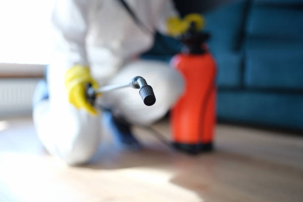  Auburn, MI Mold Removal Pros